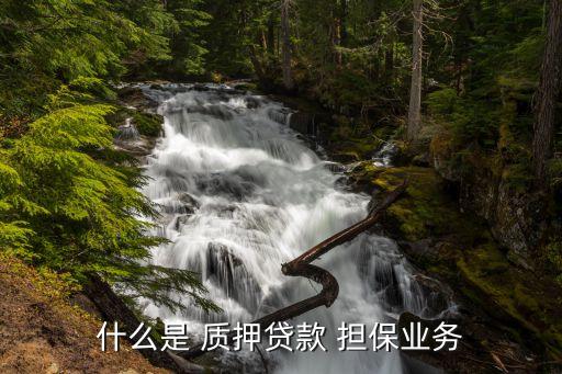 融資性擔保公司存單質押,擔保公司存單能為第三方質押嗎...